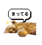 るぅのスタンプ1st（個別スタンプ：14）