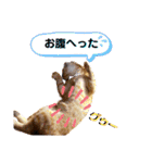 るぅのスタンプ1st（個別スタンプ：15）