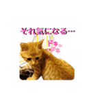 るぅのスタンプ1st（個別スタンプ：20）