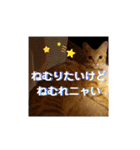 るぅのスタンプ1st（個別スタンプ：38）