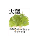 入院便利グッズ（上級編）（個別スタンプ：28）