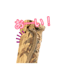 キャワウィイ カナヘビスタンプ第三弾（個別スタンプ：10）