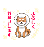 ラッパ犬サブロウの憂鬱（個別スタンプ：26）