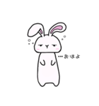 うさぎのラビさん①（個別スタンプ：1）