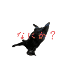 すずとベル第2弾（個別スタンプ：6）