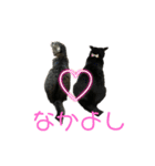 すずとベル第2弾（個別スタンプ：7）