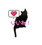 すずとベル第2弾（個別スタンプ：8）
