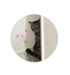 すずとベル第2弾（個別スタンプ：11）
