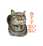 すずとベル第2弾（個別スタンプ：13）