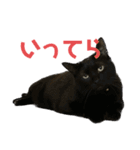 すずとベル第2弾（個別スタンプ：23）