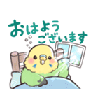 ふんわりインコちゃん（個別スタンプ：1）