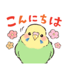 ふんわりインコちゃん（個別スタンプ：2）