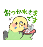 ふんわりインコちゃん（個別スタンプ：3）