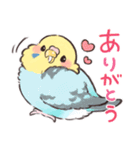 ふんわりインコちゃん（個別スタンプ：12）