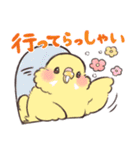 ふんわりインコちゃん（個別スタンプ：13）