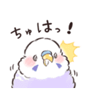 ふんわりインコちゃん（個別スタンプ：21）