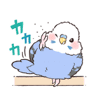 ふんわりインコちゃん（個別スタンプ：31）