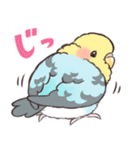 ふんわりインコちゃん（個別スタンプ：34）