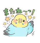 ふんわりインコちゃん（個別スタンプ：36）