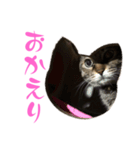 トラキチスタンプ第2弾（個別スタンプ：16）