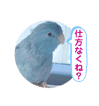 マメルリハ達8（個別スタンプ：8）