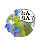マメルリハ達8（個別スタンプ：14）