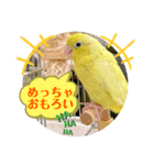 マメルリハ達8（個別スタンプ：17）