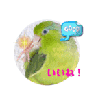 マメルリハ達8（個別スタンプ：18）