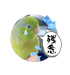 マメルリハ達8（個別スタンプ：22）