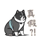 キュートな柴犬ベビーの生活 (漢字 Ver)（個別スタンプ：18）