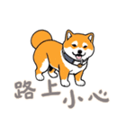 キュートな柴犬ベビーの生活 (漢字 Ver)（個別スタンプ：24）