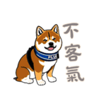 キュートな柴犬ベビーの生活 (漢字 Ver)（個別スタンプ：28）