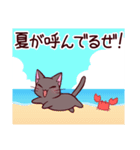 夏の三白眼ネコ（個別スタンプ：33）