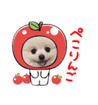ぽめ兄妹（個別スタンプ：1）
