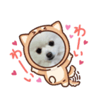 ぽめ兄妹（個別スタンプ：4）