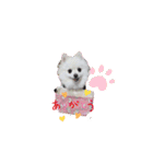 ぽめ兄妹（個別スタンプ：10）