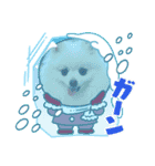 ぽめ兄妹（個別スタンプ：13）