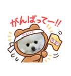 ぽめ兄妹（個別スタンプ：15）