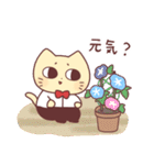 夏スタンプ｜ねこじろう8（個別スタンプ：36）