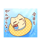 夏スタンプ｜ねこじろう8（個別スタンプ：40）