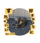 俺には俺の生き方がある〜全員集合〜（個別スタンプ：4）