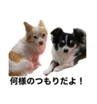俺には俺の生き方がある〜全員集合〜（個別スタンプ：8）