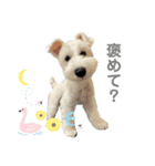 白くまのクゥ（個別スタンプ：6）