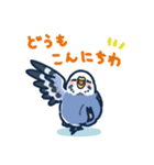 セキセイインコLINEスタンプ 青白ちゃん（個別スタンプ：1）