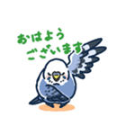 セキセイインコLINEスタンプ 青白ちゃん（個別スタンプ：2）