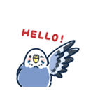 セキセイインコLINEスタンプ 青白ちゃん（個別スタンプ：4）