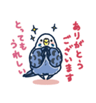 セキセイインコLINEスタンプ 青白ちゃん（個別スタンプ：5）