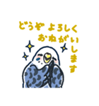 セキセイインコLINEスタンプ 青白ちゃん（個別スタンプ：6）