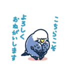 セキセイインコLINEスタンプ 青白ちゃん（個別スタンプ：8）