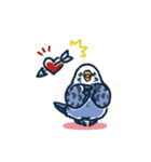 セキセイインコLINEスタンプ 青白ちゃん（個別スタンプ：10）